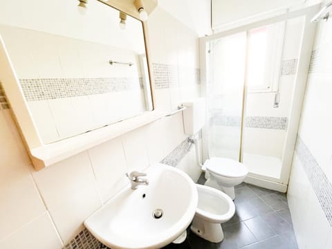 Shower, Toilet, Bathroom, bidet