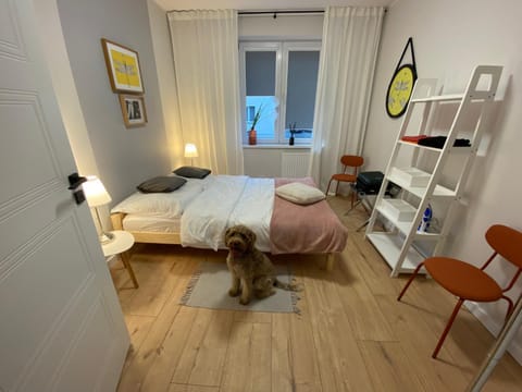 5 minut do Zamku Apartment in Pomeranian Voivodeship