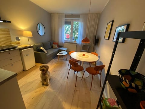 5 minut do Zamku Apartment in Pomeranian Voivodeship