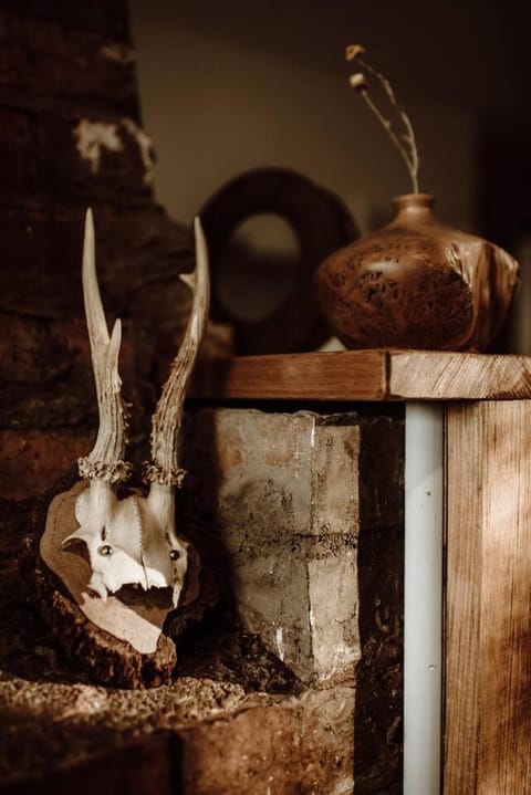 Luxury river cottage, gateway to the East Coast House in Tasmania