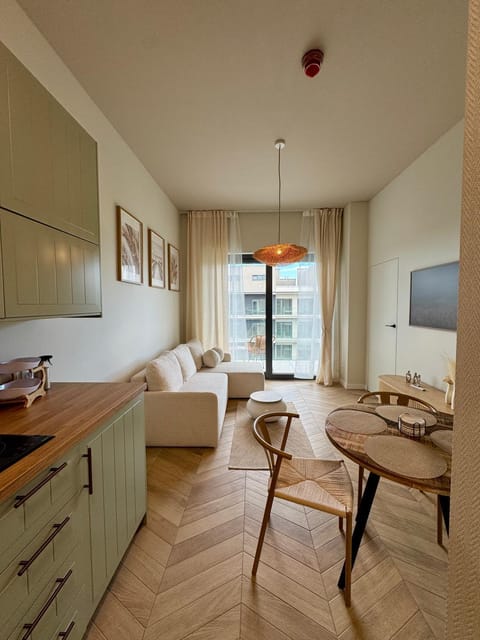 Kitchen or kitchenette, Living room, Photo of the whole room, Seating area, Dining area