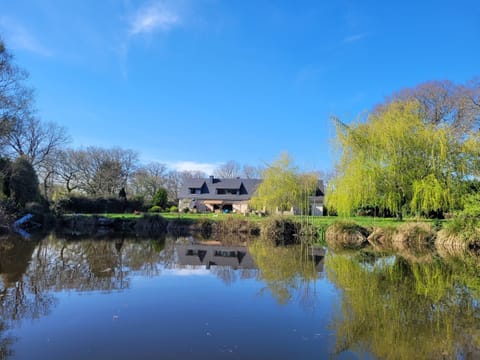 Lake view