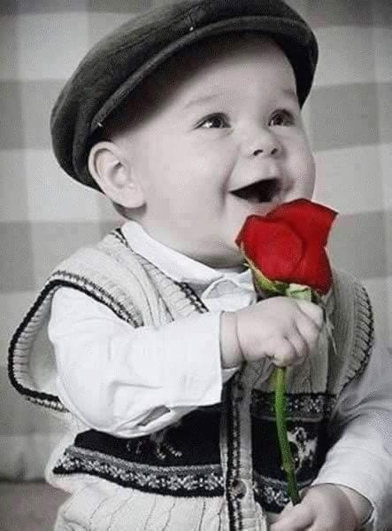 Apartments Bibijana Apartment in Šibenik-Knin County, Croatia