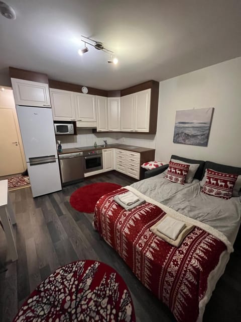 Santa's Studio Valta Apartment in Rovaniemi