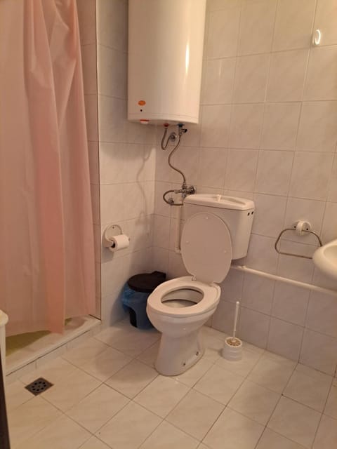 Kopaonik- Vila Ivana Apartment in Serbia