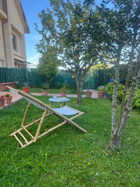 Garden, Garden view, sunbed