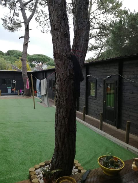 Garden, Garden view