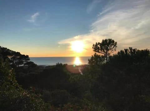 Sea view, Sunset