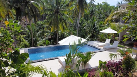 Spring, Day, Garden, Garden view, Pool view, Swimming pool, Swimming pool, sunbed