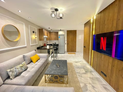 TV and multimedia, Kitchen or kitchenette, Living room, Seating area, Dining area, minibar, oven, air conditioner