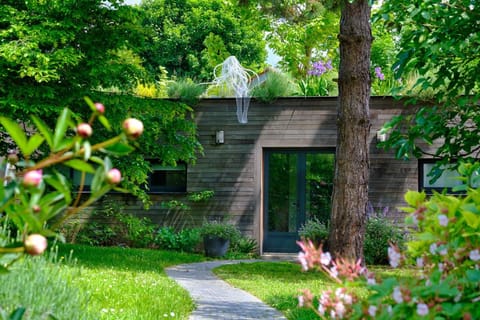 Natural landscape, Garden, Garden view