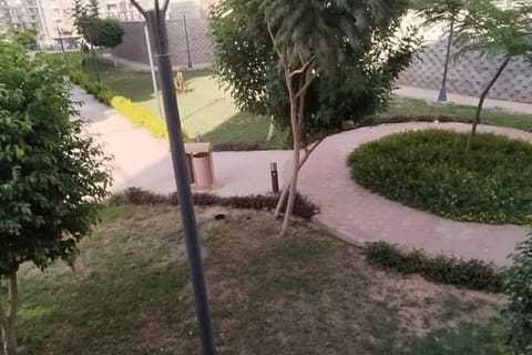 Day, Natural landscape, Garden, Garden view