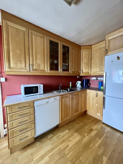 Kitchen or kitchenette, dishwasher, microwave, kitchen