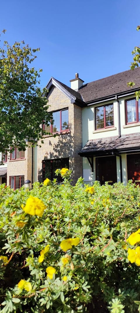 Property building, Day, Summer, Garden, Garden view