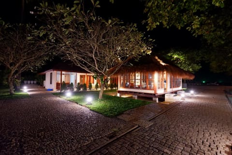 Night, Garden