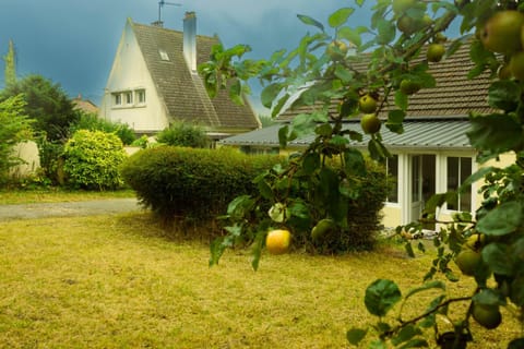 Garden, Garden, Garden view