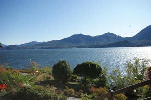 Lake view