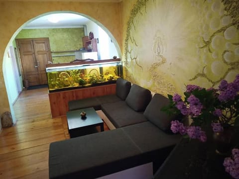Kitchen or kitchenette, Living room, Seating area