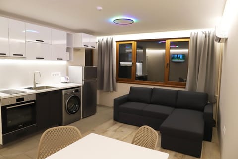 Bed, TV and multimedia, Kitchen or kitchenette, Living room, Photo of the whole room, Bedroom, minibar