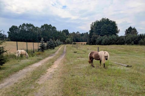 Off site, Natural landscape, BBQ facilities, BBQ facilities, Fishing, Garden, Canoeing, Cycling, Animals, Garden view, pet friendly