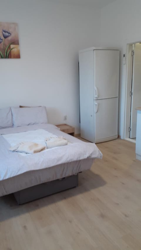 Komforna Soba U Centru #3 Bed and Breakfast in Serbia