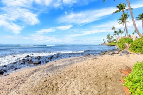 Maalaea Banyans 214 Apartment in Maalaea