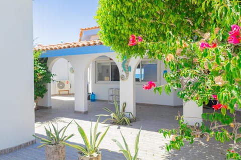 Property building, Patio, Facade/entrance, Garden view
