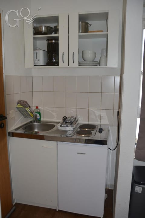 Kitchen or kitchenette, kitchen