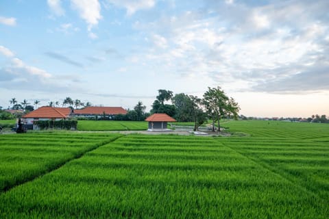 2BR Rice Field View Private Villa in Cemagi Villa in Kediri