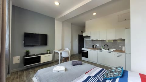 Bed, TV and multimedia, Kitchen or kitchenette, Photo of the whole room, Dining area, Bedroom, oven