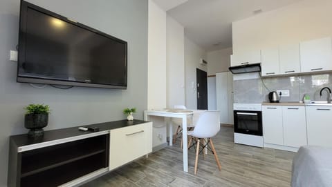 Communal lounge/ TV room, TV and multimedia, Kitchen or kitchenette, Living room, Seating area, Dining area, Evening entertainment, oven