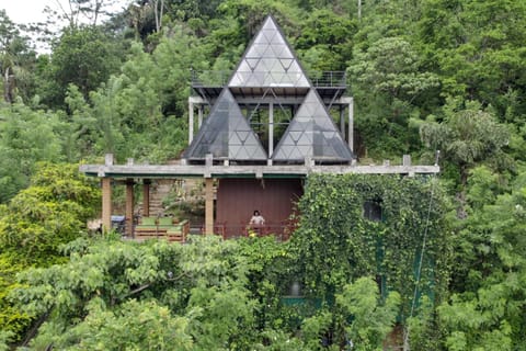 Property building, Day, Garden, Garden view