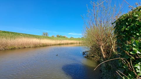 Waterlodge met waterfiets op monumentaal fort Chalet in South Holland (province)