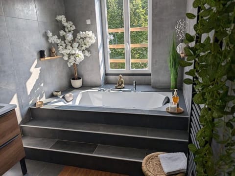 Le SPA - Villa Valmy - Hypercentre - Gare SNCF Apartment in Montluçon