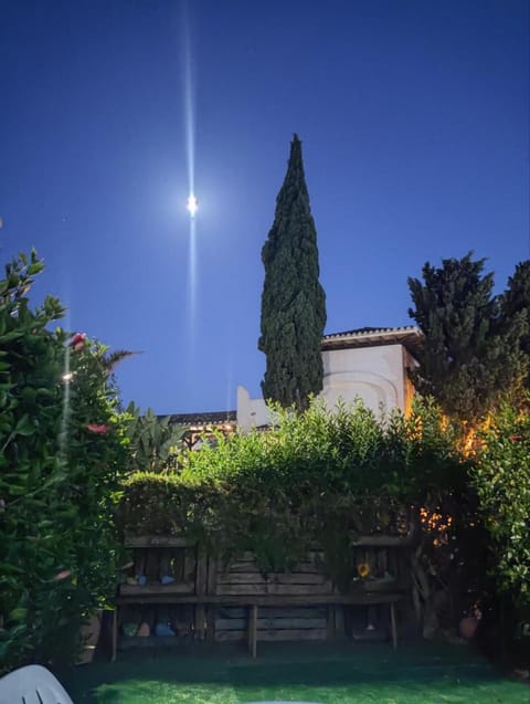 Night, Garden, Garden view