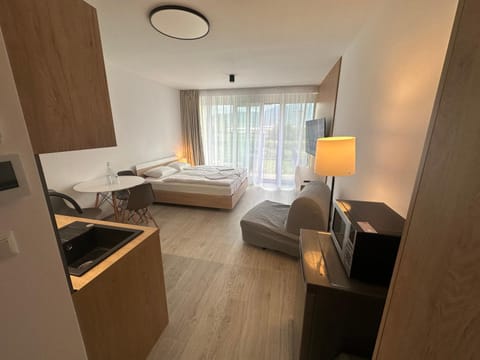 TV and multimedia, Kitchen or kitchenette, Living room, Photo of the whole room, Seating area, Bedroom