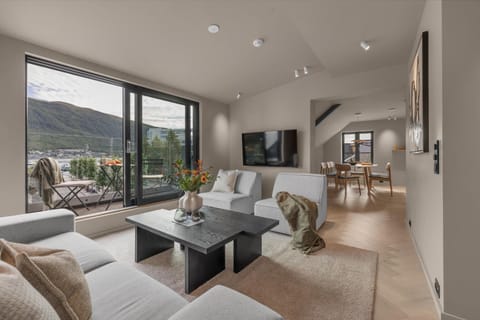 TV and multimedia, Living room, Mountain view