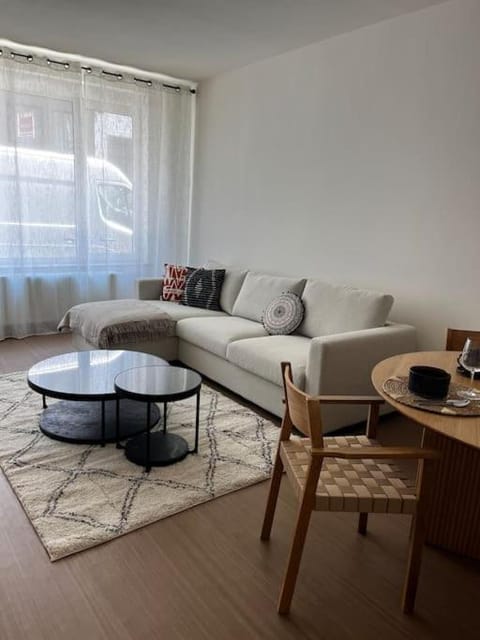 Beautiful apartment Antwerp Apartment in Antwerp