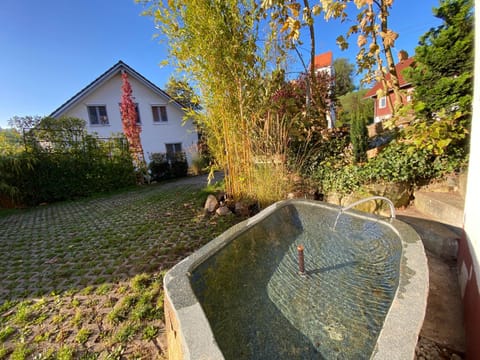 Property building, Patio, Garden