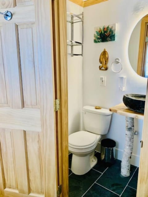 Catskill Cabin Bird of Paradise 7 Cabin in Highmount