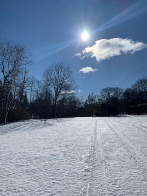Catskill Cabin Hummingbird Suite 2 Cabin in Highmount
