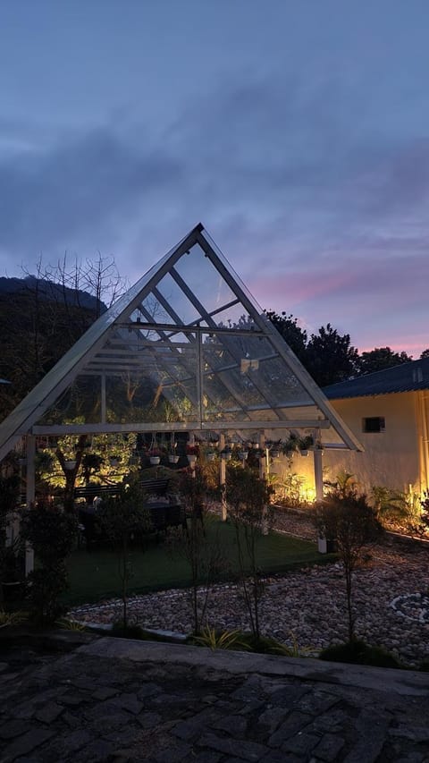 Night, Garden view