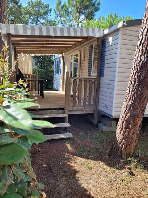 Patio, Garden