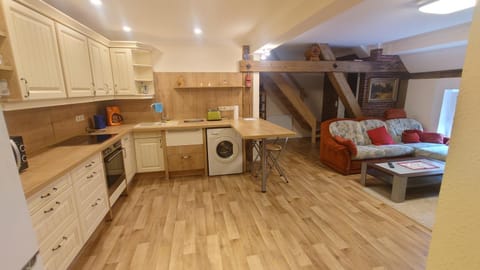 Kitchen or kitchenette, Living room, Seating area, Dining area, oven, stove, washing machine