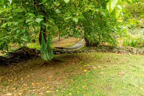 Garden, Inner courtyard view