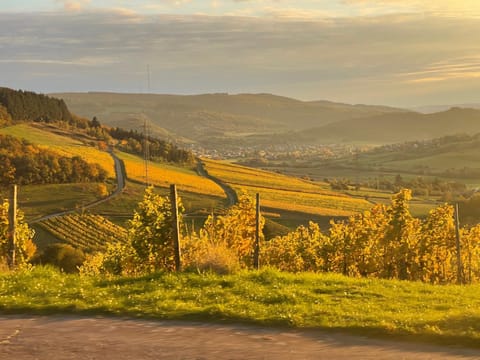 Nearby landmark, Natural landscape, Coffee/tea facilities, Sunset
