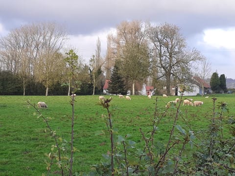 Natural landscape