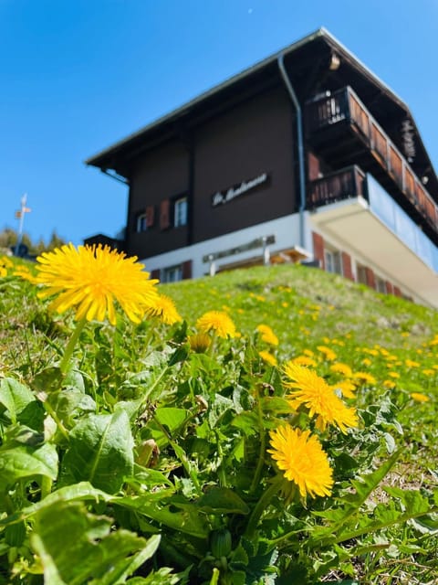 Property building, Spring, Garden