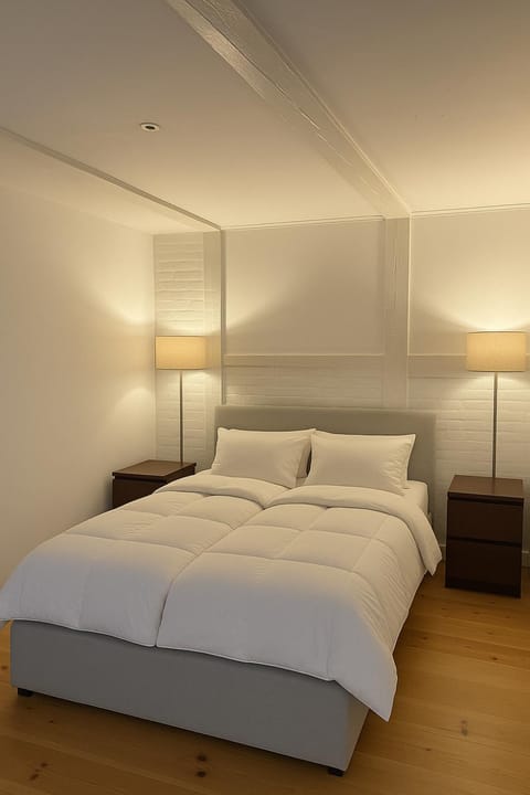 LD Central Lejlighed Odense C Apartment in Region of Southern Denmark