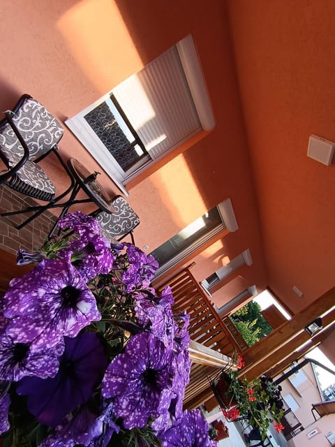 Apartmani Stojković Vrdnik Apartment in Vojvodina